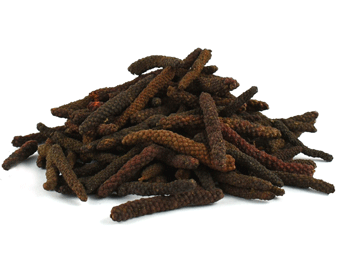 Nebyl vybrán žádný obrázek