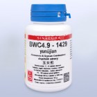 BWC4_9_yunujian