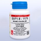 BXF1_9_wuweixiaoduyin