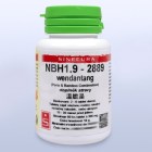 NBH1_9_wendantang