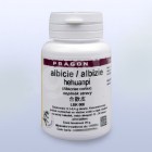 Nebyl vybrán žádný obrázek 