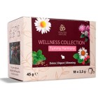 Nebyl vybrán žádný obrázek 