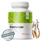 Nebyl vybrán žádný obrázek 