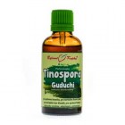 guduchi_chebule_tinospora