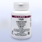 Nebyl vybrán žádný obrázek 