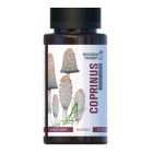 Nebyl vybrán žádný obrázek 