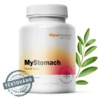 Nebyl vybrán žádný obrázek 