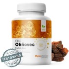 Nebyl vybrán žádný obrázek 