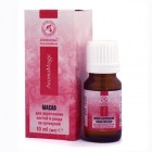 Nebyl vybrán žádný obrázek 