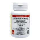 Nebyl vybrán žádný obrázek 