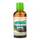 Nebyl vybrán žádný obrázek 