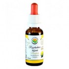 rozchodnice-ruzova-AF-tinkt