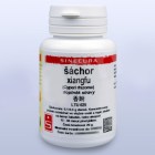 Nebyl vybrán žádný obrázek 