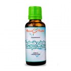 sedmikraska_tinktura_fyto