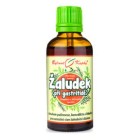 Nebyl vybrán žádný obrázek 