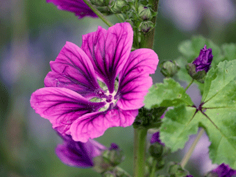 Nebyl vybrán žádný obrázek