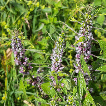 Nebyl vybrán žádný obrázek